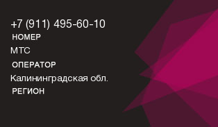 9114956010